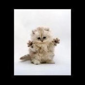 Meet your Posher, Deb